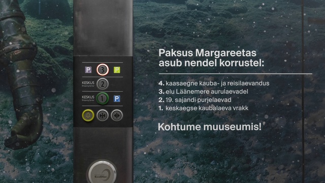 Video Reference: Electronics, Technology, Electronic device, Multimedia, Screenshot, Geological phenomenon