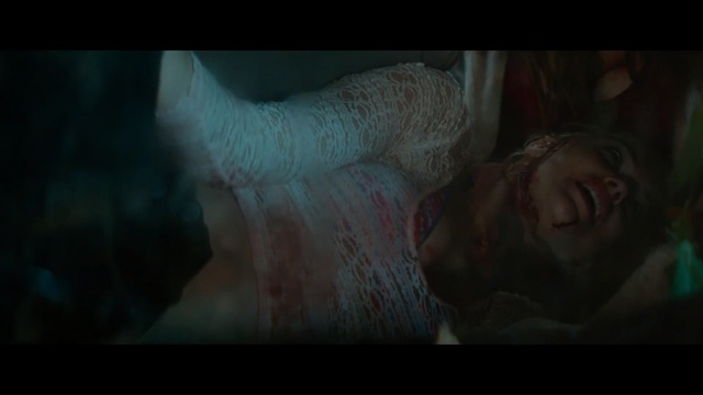 Video Reference: hammerhead, cadaver, shark