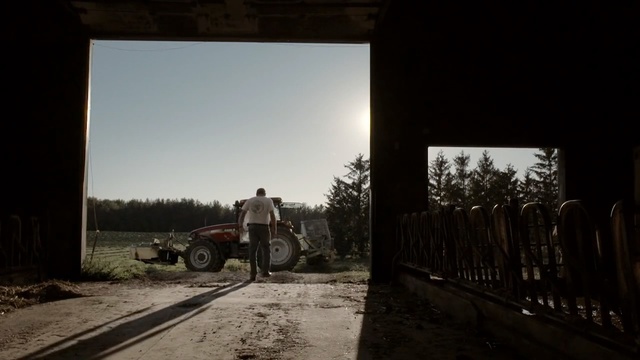 Video Reference: sky, car, road, tree, vehicle, sunlight, landscape, plant