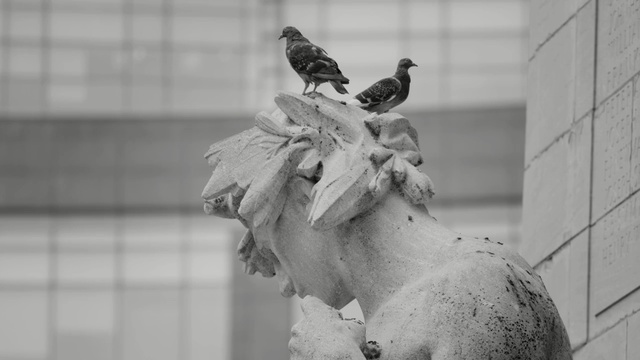 Video Reference: black and white, statue, monochrome photography, snapshot, sculpture, monochrome, monument, artwork, classical sculpture, girl, Person
