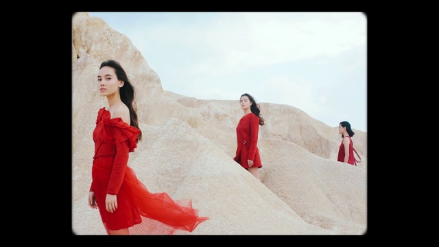 Video Reference: Photograph, Red, Beauty, Gown, Dress, Fashion, Formal wear, Photography, Fashion model, Stock photography