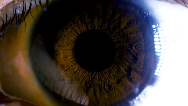 Video Reference: Iris, Eye, Close-up, Organ, Blue, Brown, Macro photography, Eyelash, Photography, Human body