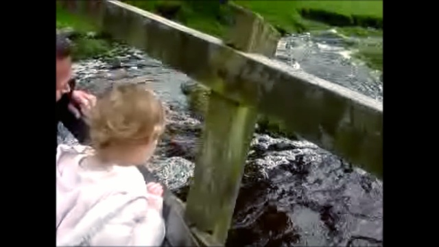 Video Reference: water, vertebrate, mode of transport, water feature, tree, pond, water resources, geological phenomenon, watercourse, plant