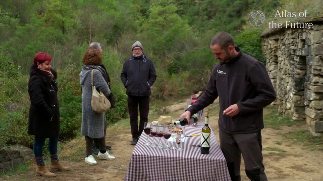 Video Reference: Recreation, Tree, Adaptation, Event, Picnic, Walking, Forest