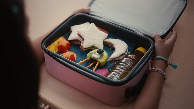 Video Reference: Suitcase, Food, Cuisine, Dish, Baggage, Meal, Lunch, Box