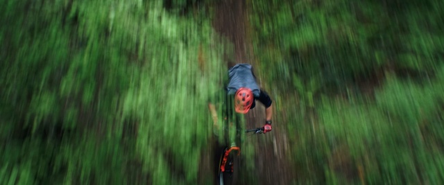 Video Reference: Green, Natural environment, Grass, Tree, Grass family, Jungle, Organism, Forest, Fun, Plant