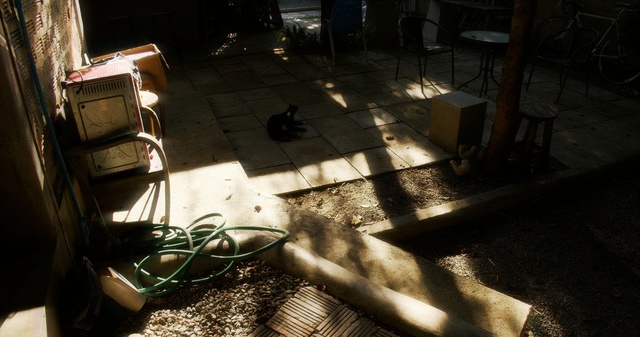 Video Reference: light, darkness, night