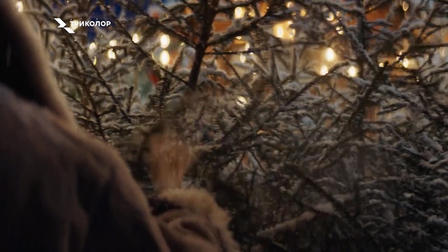 Video Reference: Branch, Nature, Tree, Twig, Light, Sunlight, Natural environment, Lighting, Leaf, Sky