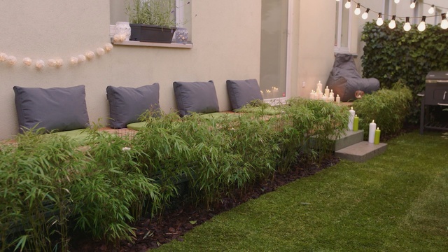 Video Reference: Grass, Lawn, Property, Yard, Shrub, Garden, Backyard, Grass, Plant, Landscaping, Person