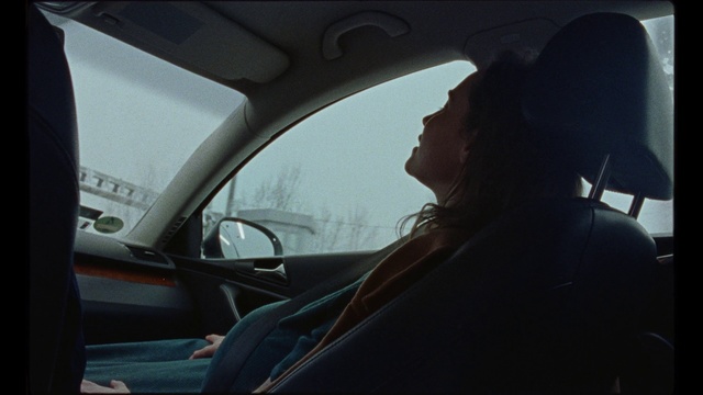 Video Reference: Vehicle door, Driving, Vehicle, Car, Luxury vehicle, Windshield, Steering wheel, Automotive exterior, Auto part, Person, View, Man, Looking, Sitting, Passenger, Mirror, Seat, Seen, Bus, Side, Truck, Woman, Holding, Riding, Street, White, Head, Phone, Traffic, Dog, Motorcycle, Land vehicle, Rear-view mirror, Automotive mirror, Automotive side-view mirror