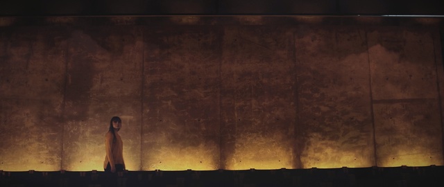 Video Reference: light, darkness, atmosphere, heat, night, lighting, wood, sky, evening, computer wallpaper