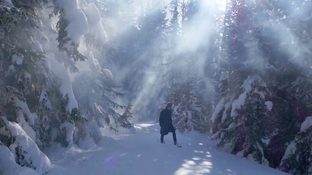 Video Reference: Winter, Snow, Nature, Freezing, Frost, Atmospheric phenomenon, Sky, Geological phenomenon, Atmosphere, Tree