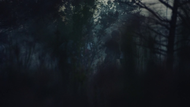 Video Reference: Black, Nature, Sky, Blue, Darkness, Green, Natural environment, Atmospheric phenomenon, Tree, Forest