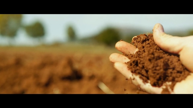 Video Reference: Soil, Hand, Photography, Sand, Food, Cocoa solids, Chocolate