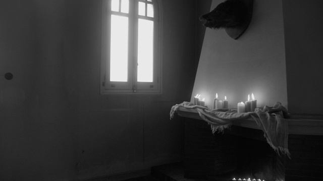 Video Reference: Black, White, Light, Black-and-white, Room, Monochrome photography, Monochrome, Darkness, Wall, Photography, Indoor, Window, Dark, Mirror, Lit, Small, Sitting, Looking, Table, Bed, Lamp, Man, Living, Sink, Television, Large, Bedroom, Woman, Cat, Laying, Standing, Black and white, Candle