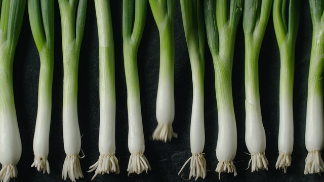 Video Reference: Welsh onion, Vegetable, Leek, Scallion, Calçot, Plant, Food, Flowering plant, Allium, Produce, Person