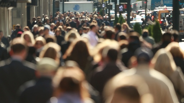 Video Reference: crowd, people, street, vehicle, pedestrian, event, city