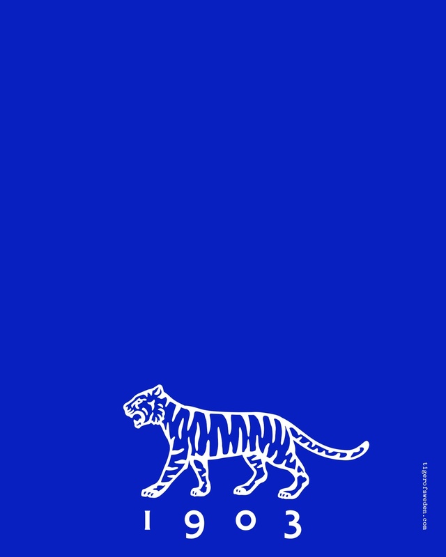 Video Reference: Blue, Felidae, Carnivore, Font, Rectangle, Art, Big cats, Terrestrial animal, Tail, Electric blue
