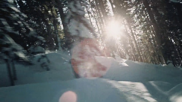 Video Reference: Nature, Snow, Sunlight, Light, Winter, Freezing, Natural environment, Tree, Atmospheric phenomenon, Sky
