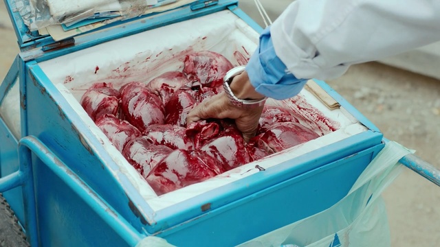 Video Reference: butcher shop, shop, mercantile establishment, Person