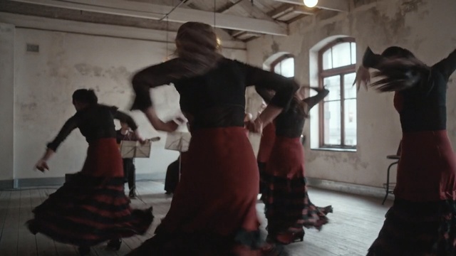 Video Reference: Dance, Performing arts, Flamenco, Performance art, Choreography, Event, Dancer, Fun, Performance, Room