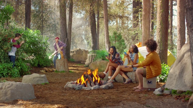 Video Reference: Tree, Woodland, Campfire, Adaptation, Jungle, Leisure, Forest, Fun, Recreation, Fire