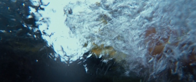 Video Reference: Water, Sky, Organism, Freezing, Ice, Sea, Underwater, Wave, Space