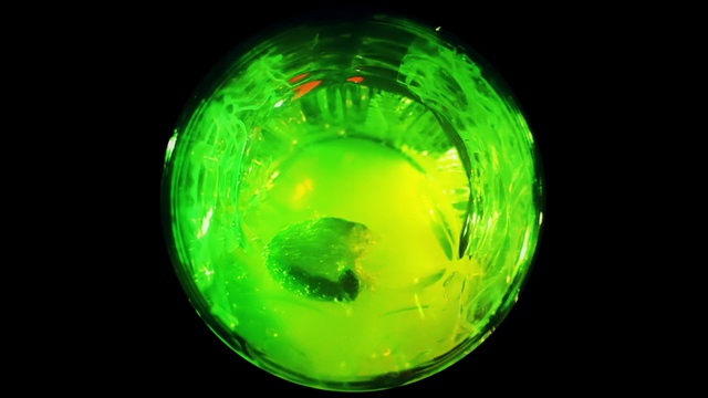 Video Reference: green, sphere, organism, macro photography, circle, earth, computer wallpaper, Person