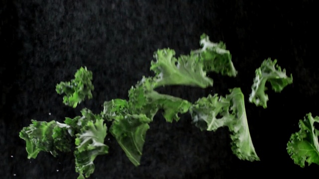Video Reference: Leaf, Plant, Flower, Organism, Kale, Leaf vegetable, Plant stem