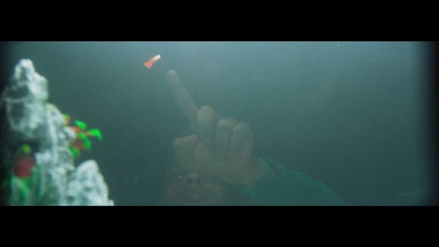 Video Reference: Underwater, Water, Marine biology, Organism, Indoor, Monitor, Screen, Looking, Man, Photo, Dark, Front, Holding, Sitting, Laptop, Watching, Television, Woman, Small, Computer, Room, Black, Close, Lit, Display, Colorful, Large, Standing, Train, Cat, Animal, White, Blurry, Red, Air, Phone, Playing, Ball, Aquarium, Reef, Image, Colored, Ocean floor