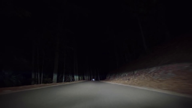 Video Reference: Darkness, Black, Night, Light, Road, Sky, Atmospheric phenomenon, Atmosphere, Lighting, Tree