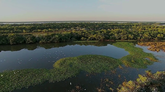 Video Reference: Natural landscape, Water resources, Marsh, Natural environment, Nature, Water, Freshwater marsh, Tidal marsh, Nature reserve, Vegetation