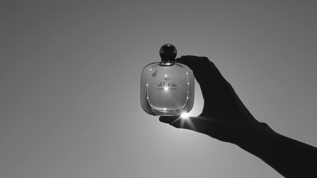 Video Reference: black and white, light, photography, monochrome photography, monochrome, lighting, still life photography, sky, light fixture