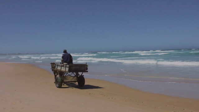 Video Reference: Beach, Sea, Shore, Coast, Ocean, Mode of transport, Vacation, Sand, Cart, Tourism
