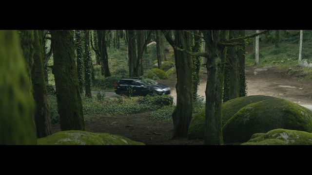 Video Reference: Woodland, Nature, Natural environment, Forest, Jungle, Biome, Wilderness, World rally championship, Vehicle, Screenshot