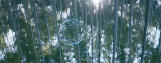 Video Reference: Water, Nature, Dew, Green, Moisture, Grass, Natural environment, Drop, Sunlight, Liquid bubble