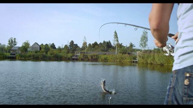 Video Reference: water, lake, angling, water resources, reservoir, reflection, sky, recreational fishing, pond, tree