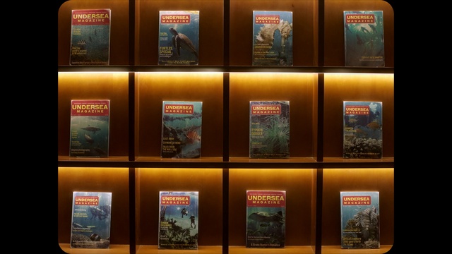 Video Reference: Publication, Amber, Shelving, Material property, Shelf, Machine, Service, Font, Book, Advertising