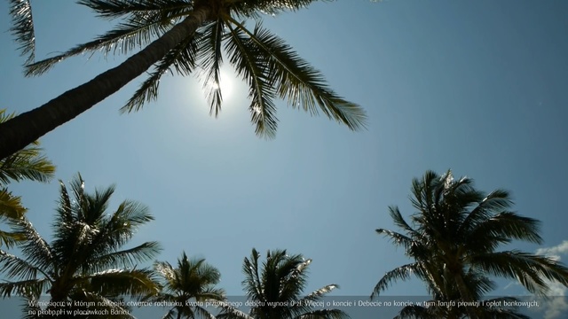 Video Reference: Tree, Sky, Palm tree, Nature, Elaeis, Arecales, Vegetation, Daytime, Date palm, Attalea speciosa, Person, Male