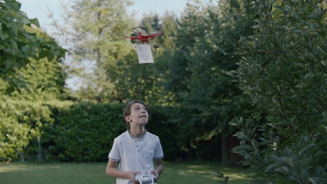 Video Reference: Green, Grass, Tree, Leaf, Shrub, Plant, Lawn, Photography, Vacation, House, Person