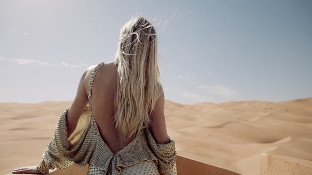 Video Reference: Hair, Desert, Natural environment, Blond, Beauty, Long hair, Sand, Hairstyle, Landscape, Aeolian landform