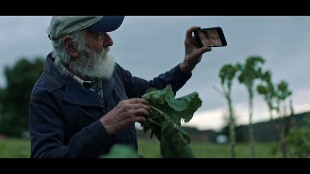 Video Reference: Facial hair, Beard, Human, Photography, Adaptation, Tree, Plant, Screenshot, Crop, Moustache