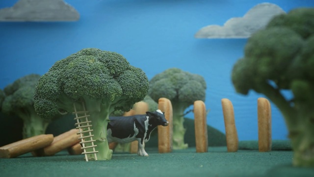 Video Reference: Organism, Grass, Tree, Adaptation, Canidae, Landscape, Leisure, World