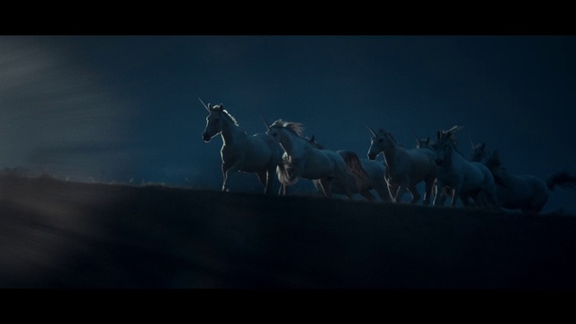 Video Reference: Horse, Darkness, Sky, Atmosphere, Organism, Mustang horse, Photography, Screenshot, Mane, Stock photography