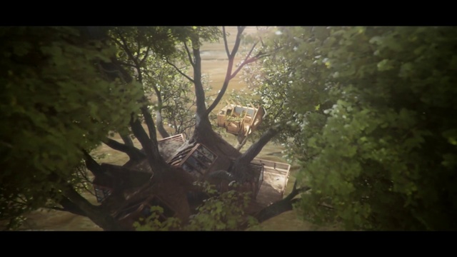 Video Reference: Nature, Tree, Woodland, Forest, Vegetation, Natural environment, Jungle, Green, Wilderness, Nature reserve