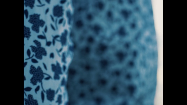 Video Reference: blue, aqua, turquoise, pattern, azure, organism, close up, textile, font, design