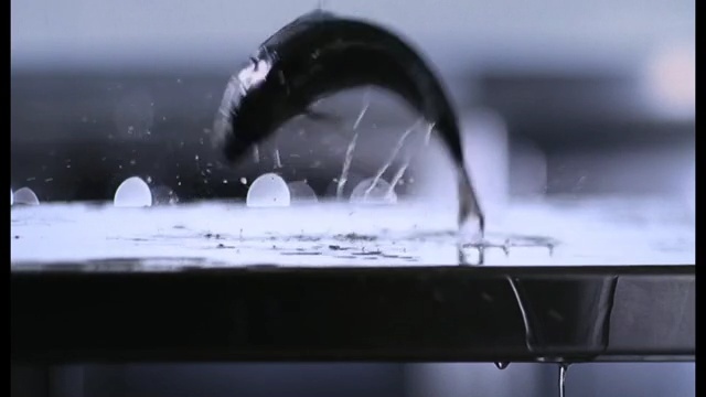 Video Reference: Water, Drop, Tap