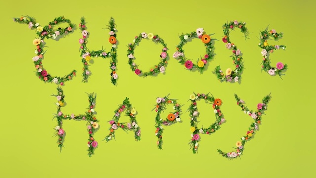 Video Reference: Font, Text, Plant, Illustration, Person