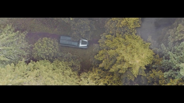 Video Reference: Nature, Vegetation, Green, Tree, Biome, Natural environment, Leaf, Wilderness, Forest, Morning