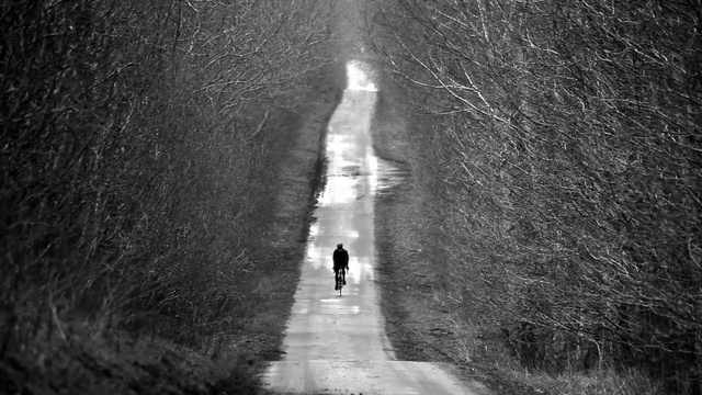 Video Reference: black, black and white, monochrome photography, atmosphere, photography, light, tree, water, sky, monochrome, Person